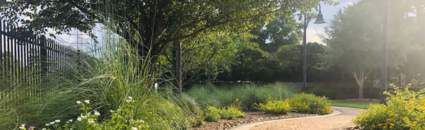 Cutten Green Dog Park